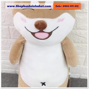 Gấu Bông Teddy Hàn Quốc - GAU20